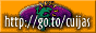 Baja_Desert_4523_besucona_Cuijaboton.gif