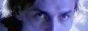 Colosseum_Court_3129_banners_lsflbanner5.gif