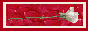 Heartland_Ranch_6068_petit111.gif