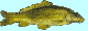 Hollywood_Academy_9860_images_bannerapddp.gif