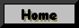 Hollywood_Guild_3528_Images_homebutton.gif