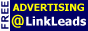 Paris_Lights_6376_linkleads.gif