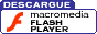 SiliconValley_Bit_9633_images_get_flashplayer.gif