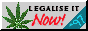 SouthBeach_Palms_8415_hash-now.gif
