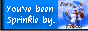 SouthBeach_Surf_9574_49.gif
