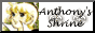 SouthBeach_Tidepool_5142_gif_chocobutton.gif