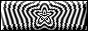SunsetStrip_Palladium_4902_b9.gif