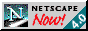 TimesSquare_Bridge_4522_getnetscape.gif