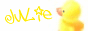 angelkwong_bannerjuduckblink.gif