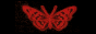 butimspecial_crimsionsacrificeban.gif