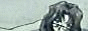 ccs2000_2002_button5.gif