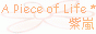 kissdasky04_slogo.gif