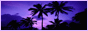 ladysparco_images_025.gif