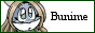 vashtsgirl_bunkatbutton.gif