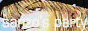 ym_purple_eyes_link_ban2-4.gif